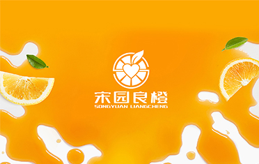 某良橙——广元LOGO设计