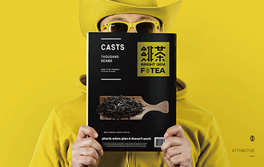 广元绯茶品牌设计